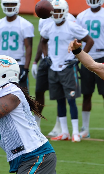 Dolphins believe they can be special in 2015